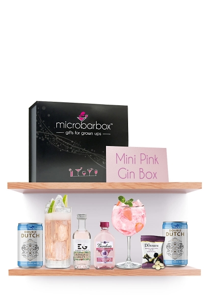 Mini Pink Gin MicroBarBox 